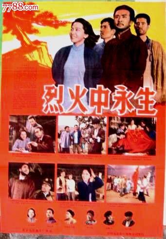 贝尔福-蒙贝利亚尔技术大学学士证书